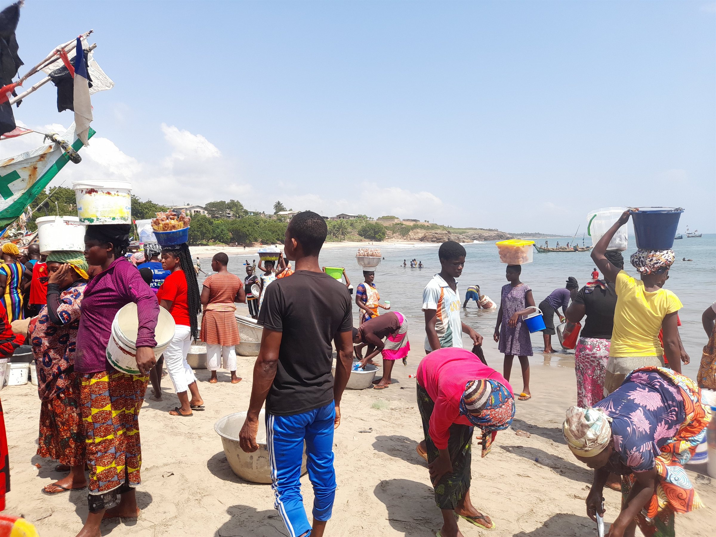 Community engagement and field consultation